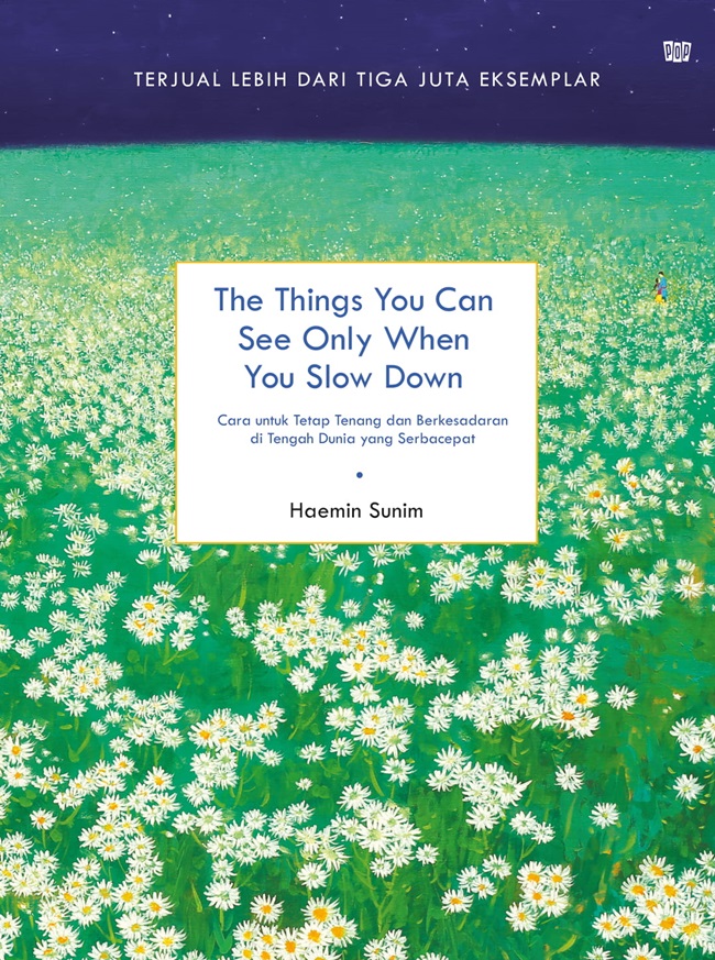 The Things You Can See Only When You Slow Down — cover